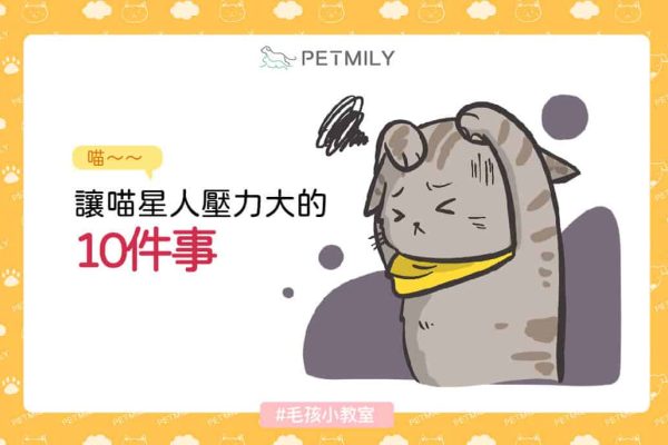 pwtmily-blog讓喵星人壓力大的10件事_封面