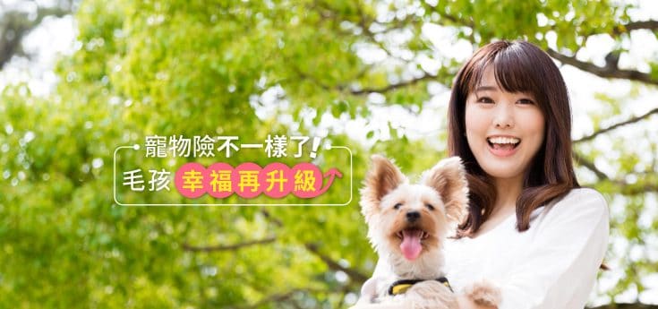 2019寵物險翻紅：解析寵物保險5大保障內容與最新投保趨勢！